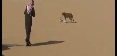 Arabian Hunting In The Desert